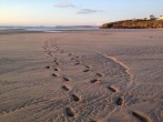 Beach footprints Beach footprints